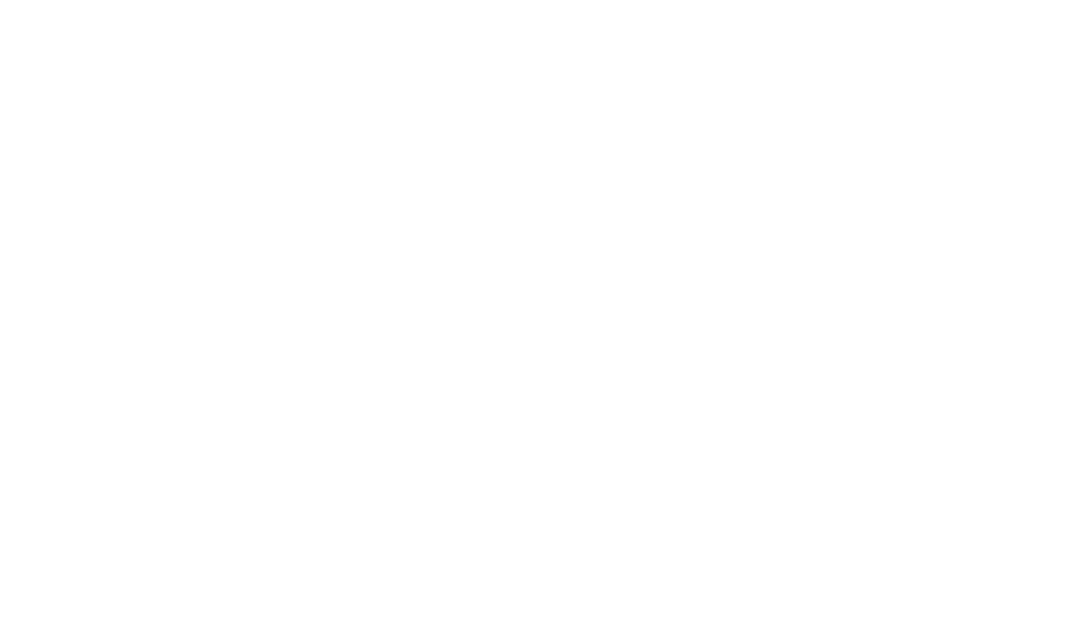 VFM-Logo-White.png